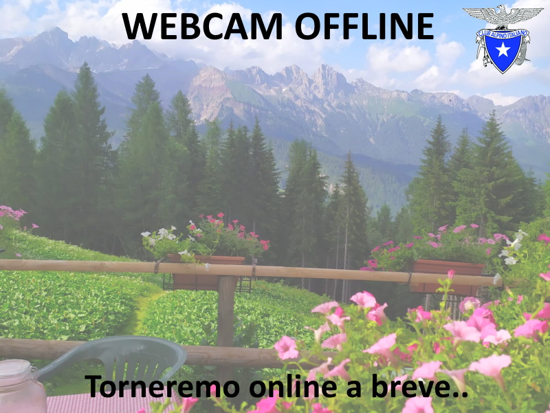 WebCam Live